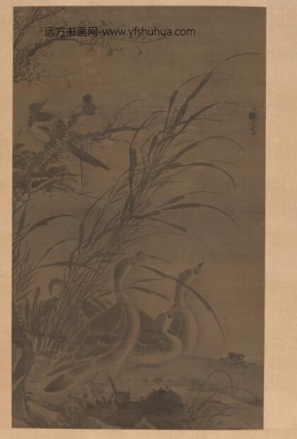 林良 芦雁图轴.jpg