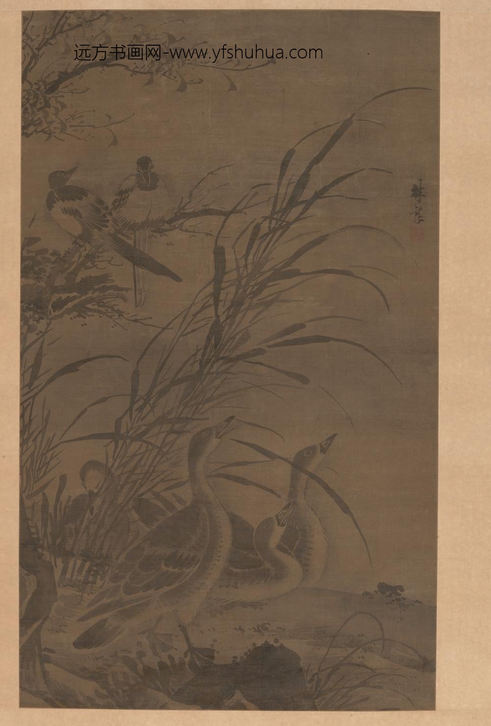 林良_芦雁图轴