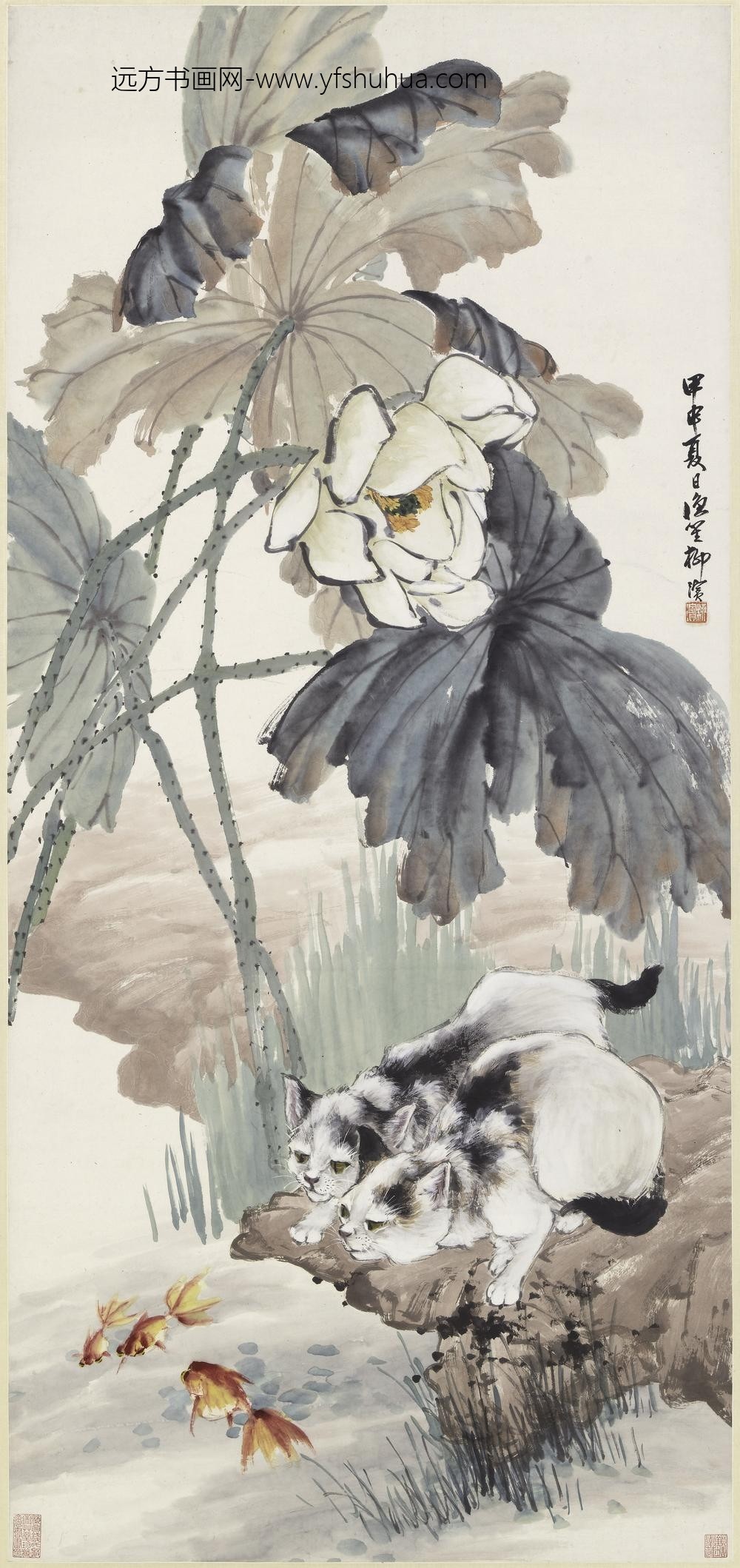 柳滨_荷花双猫图轴