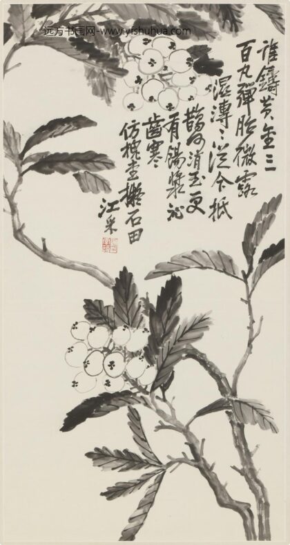 江采 枇杷图轴.jpg