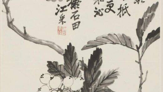 江采 枇杷图轴.jpg