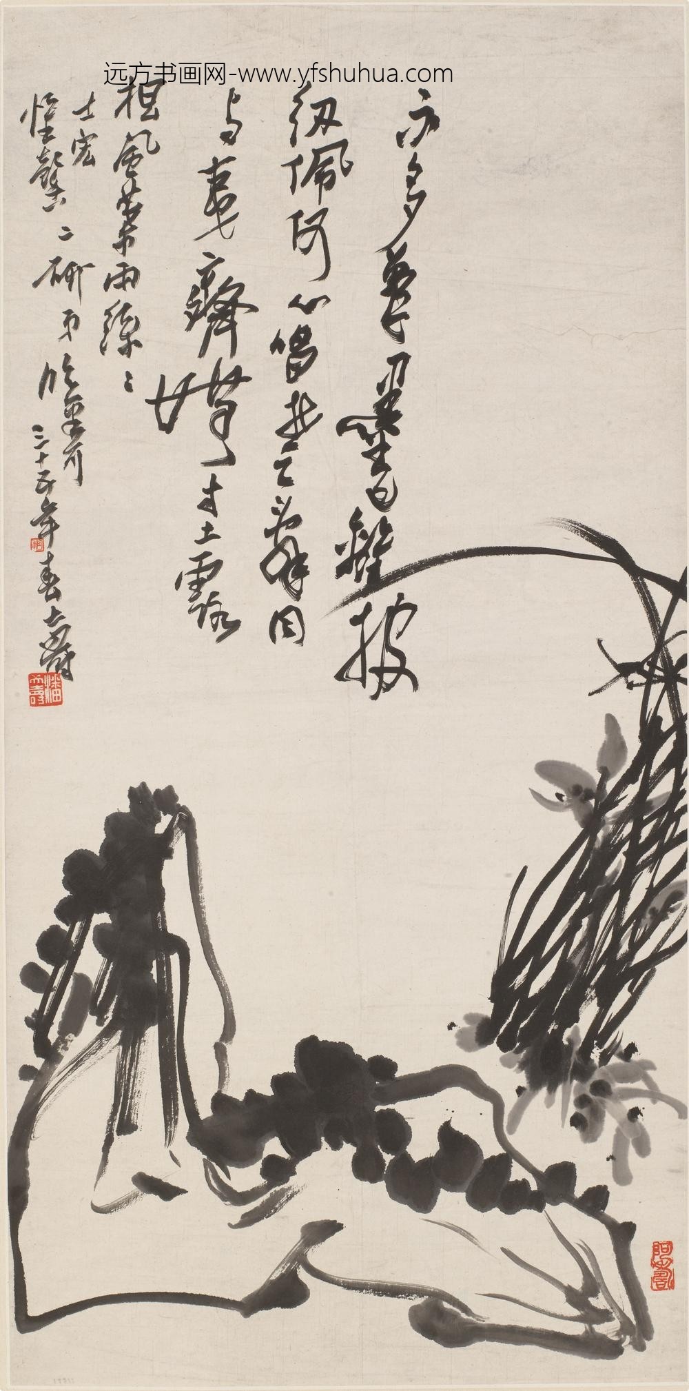 潘天寿-阿寿_兰石图轴