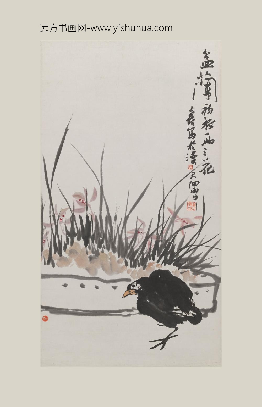 潘天寿-阿寿_盆兰图轴