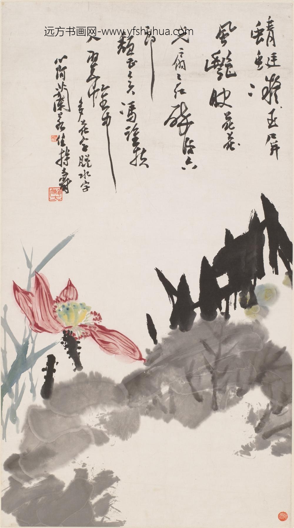 潘天寿-阿寿_红荷图轴