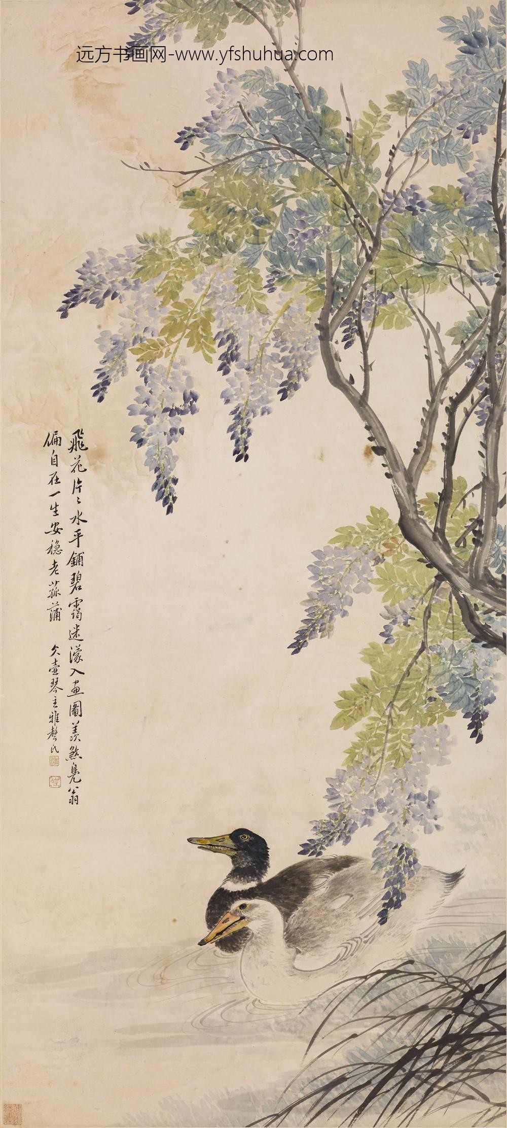 潘振镛_紫藤双鸭图轴