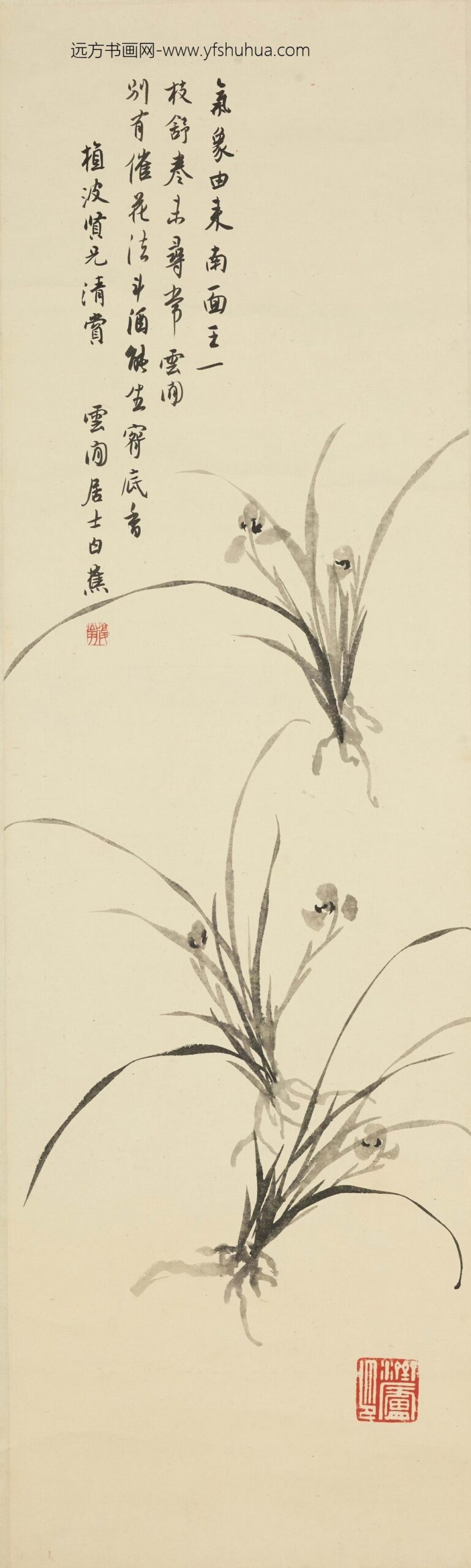 白蕉_墨兰图轴