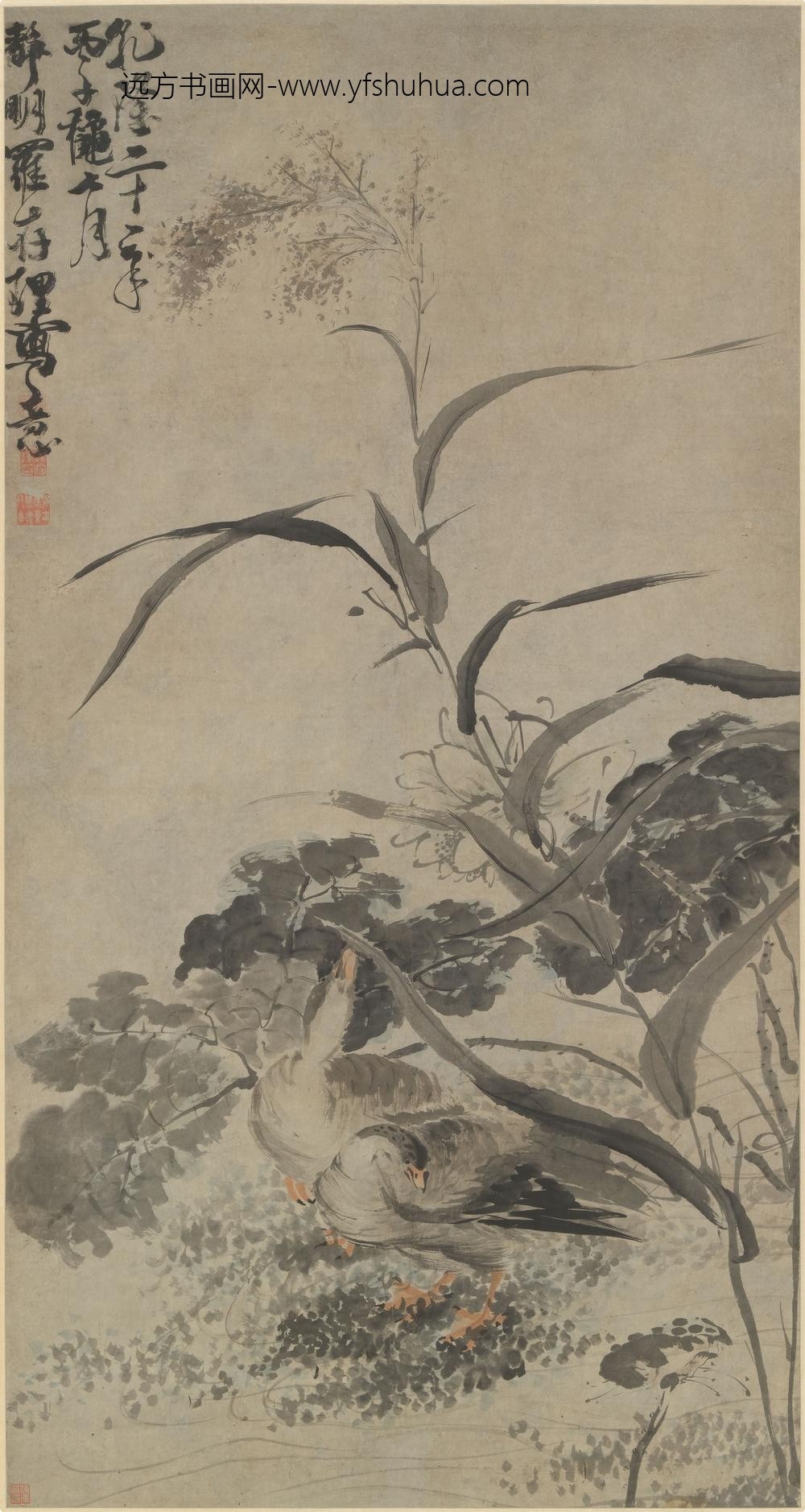 罗存理_蒲塘双雁图轴