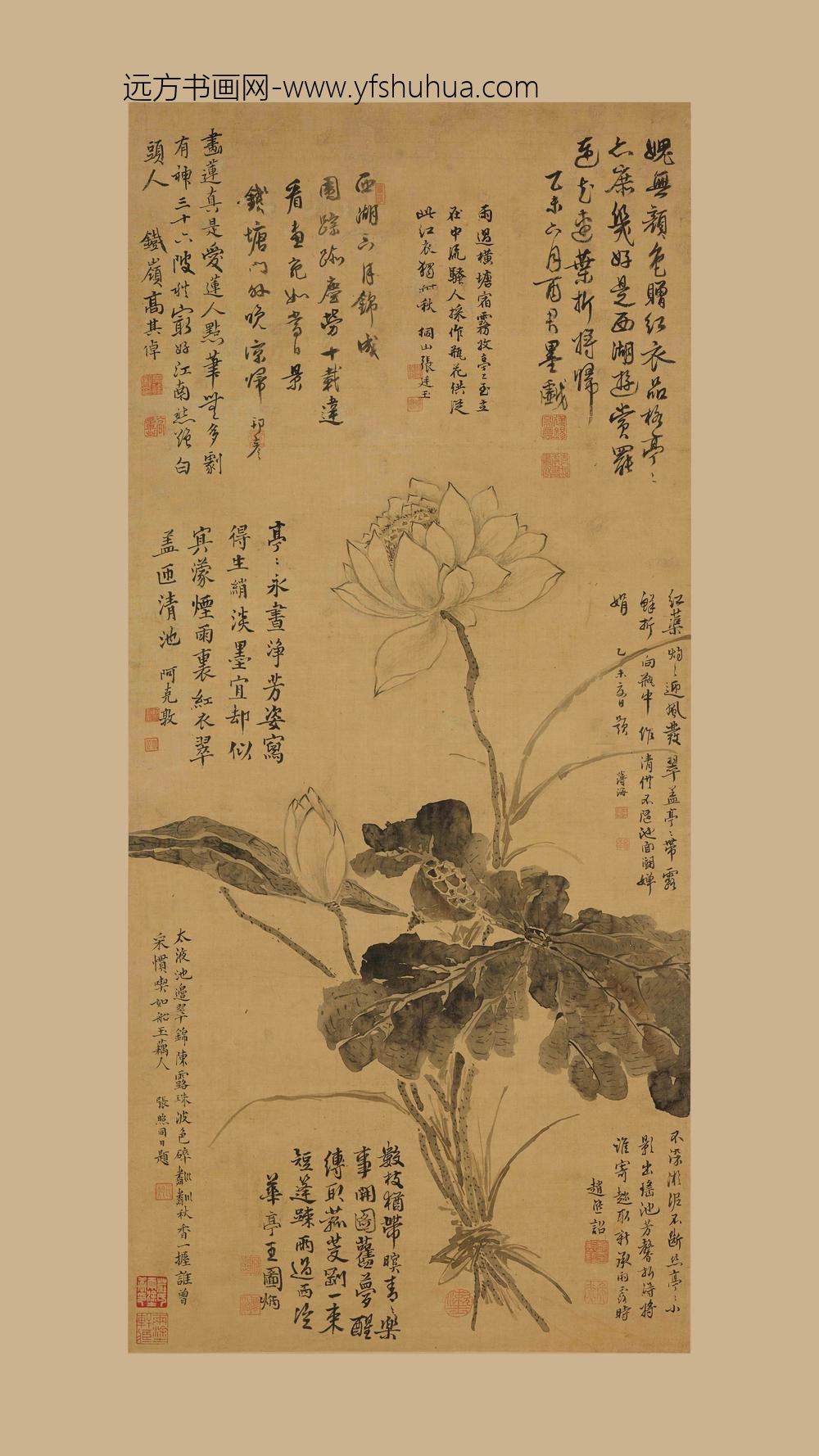 蒋廷锡_墨荷图轴