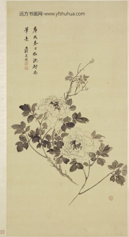 蒋廷锡 牡丹图轴.jpg