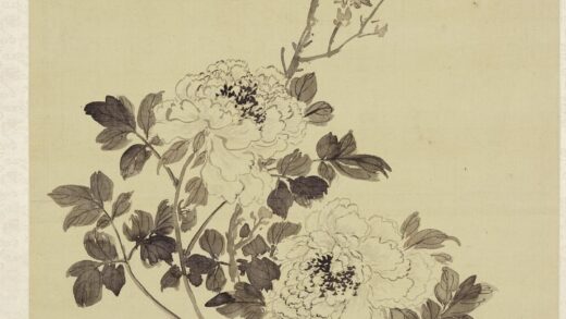 蒋廷锡 牡丹图轴.jpg