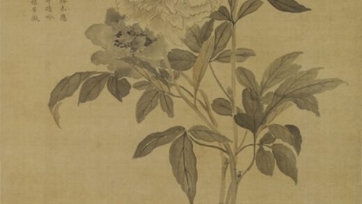 蒋廷锡 芍药图轴.jpg