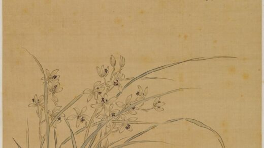 蒋溥 兰石图轴.jpg