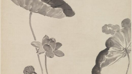 边寿民 墨荷图轴.jpg