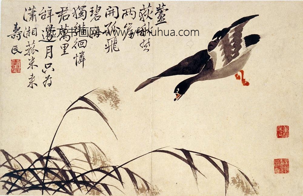 边寿民_芦雁图册（八开）_