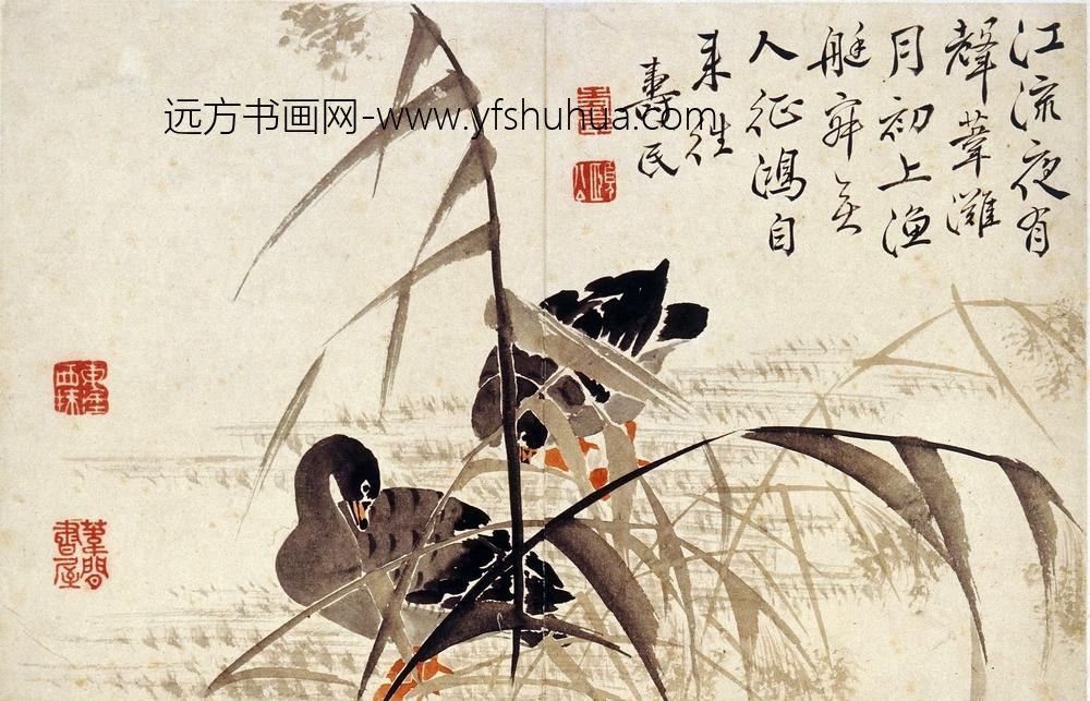 边寿民_芦雁图册（八开）_