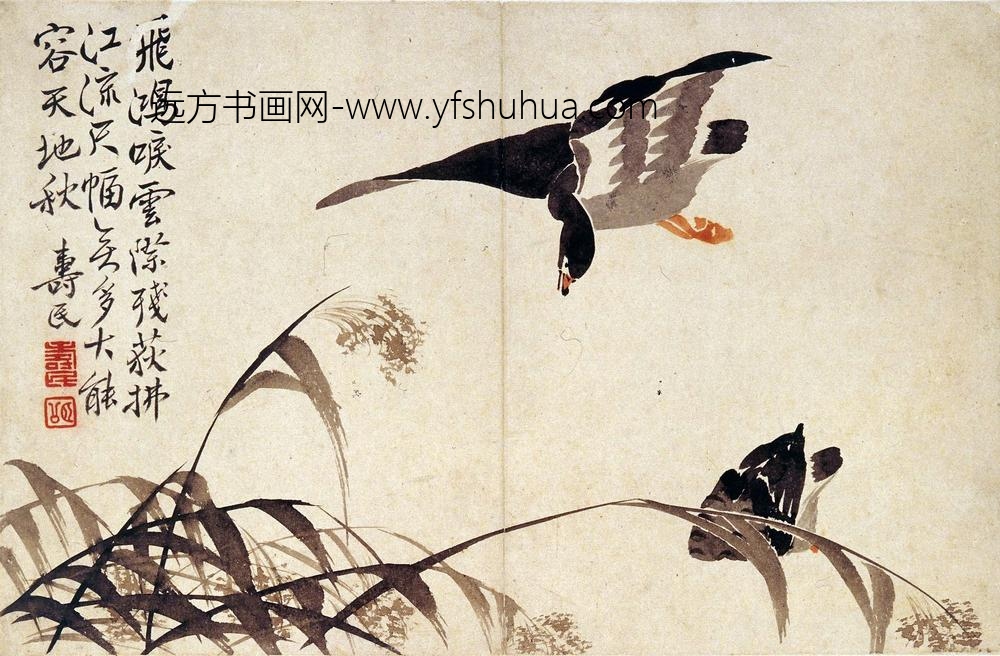 边寿民_芦雁图册（八开）_