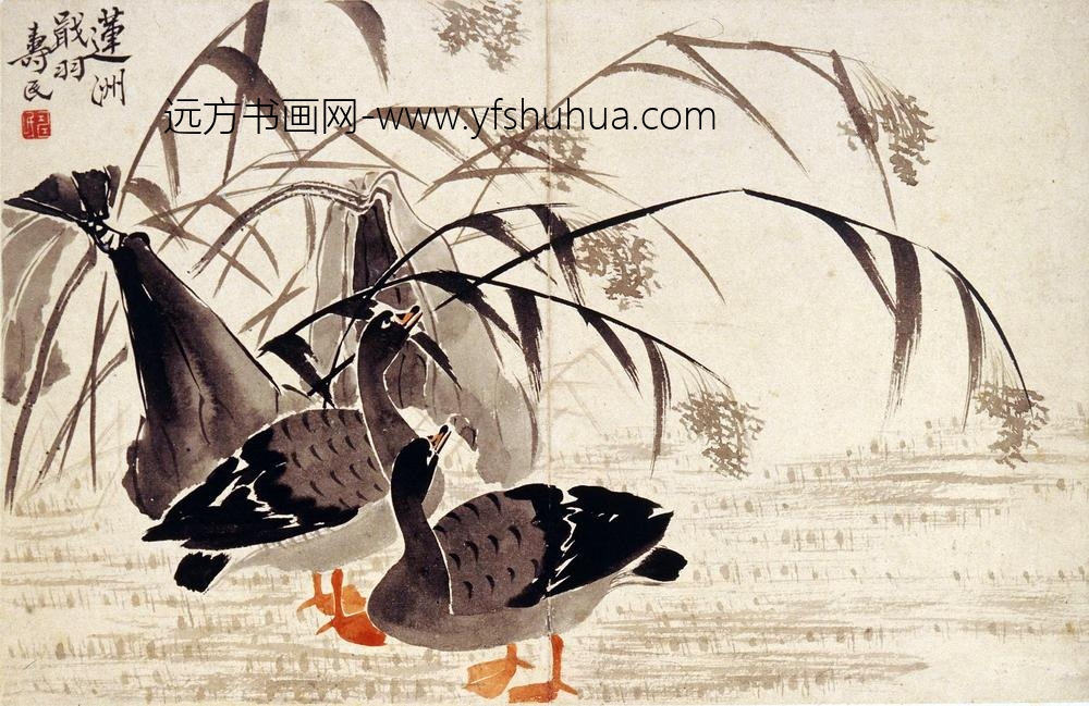 边寿民_芦雁图册（八开）_