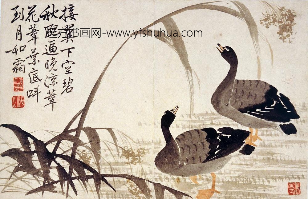 边寿民_芦雁图册（八开）_