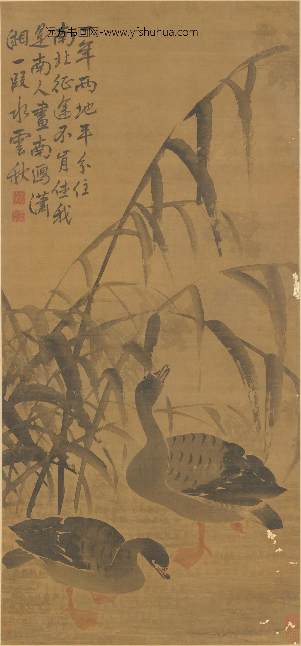 边寿民_芦雁图轴-