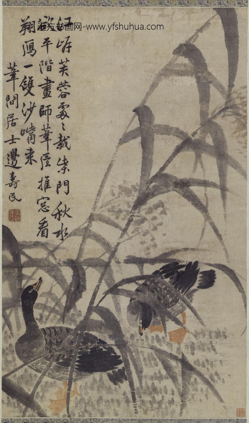 边寿民_芦雁图轴-