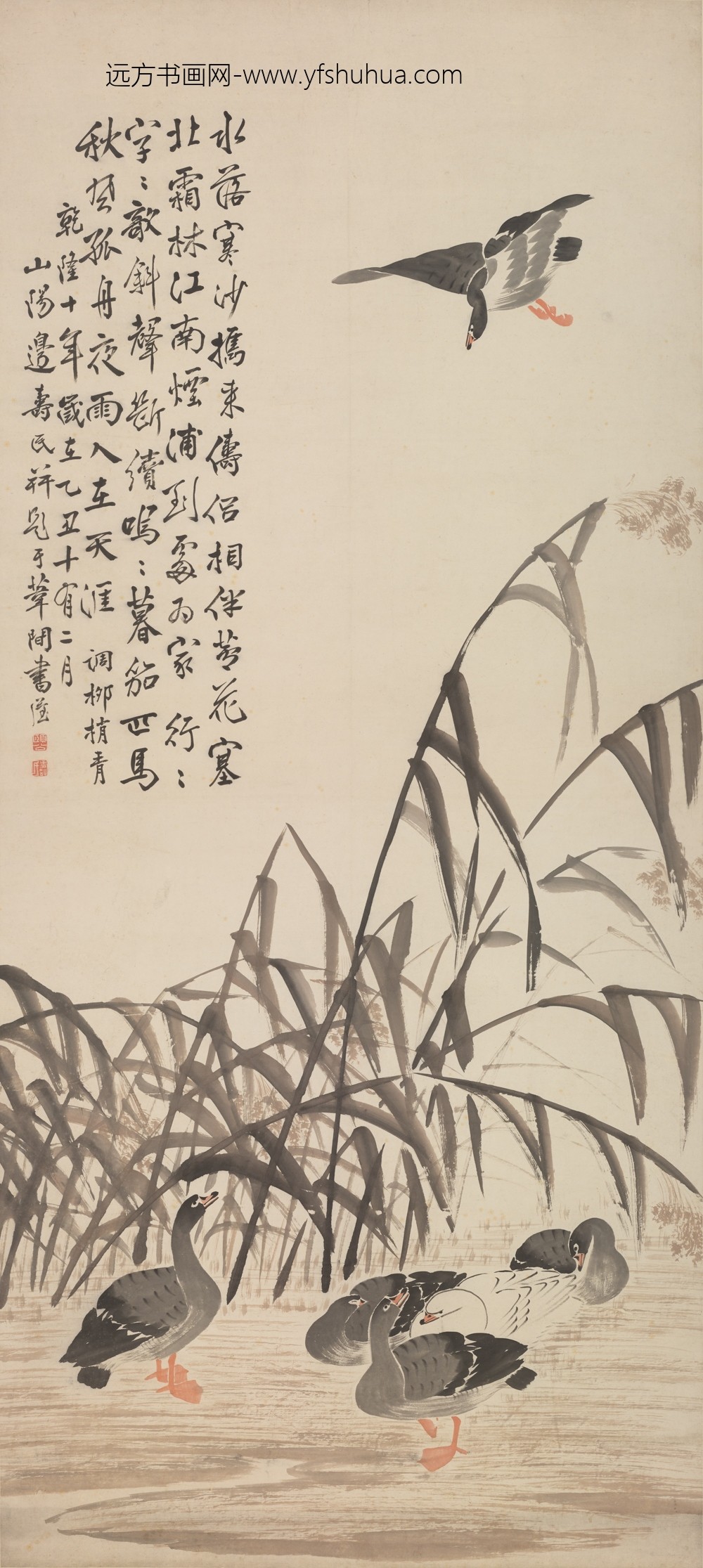 边寿民_芦雁图轴-