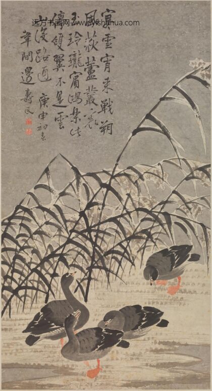 边寿民 芦雁图轴 5.jpg