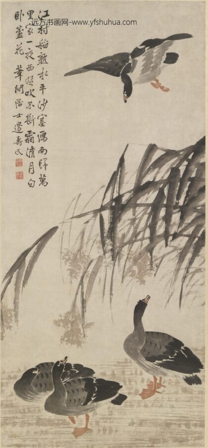 边寿民 芦雁图轴 6.jpg