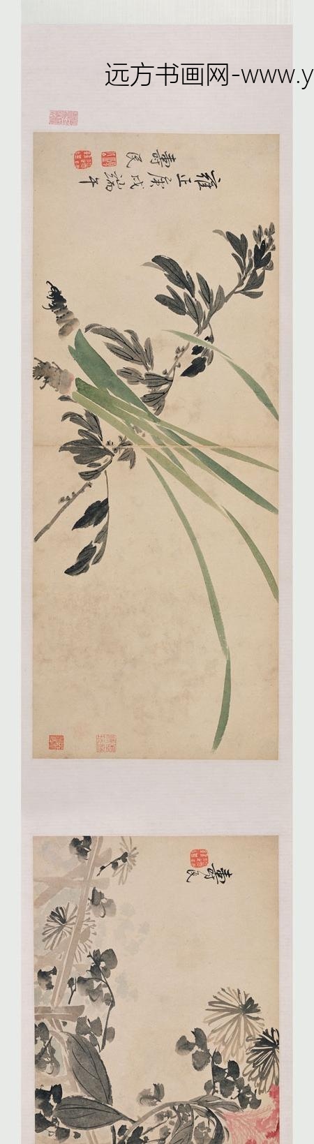 边寿民_花卉卷_