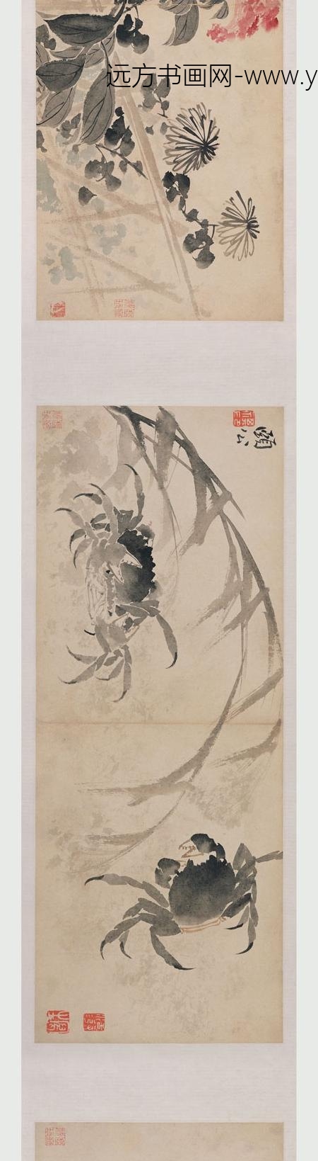 边寿民_花卉卷_