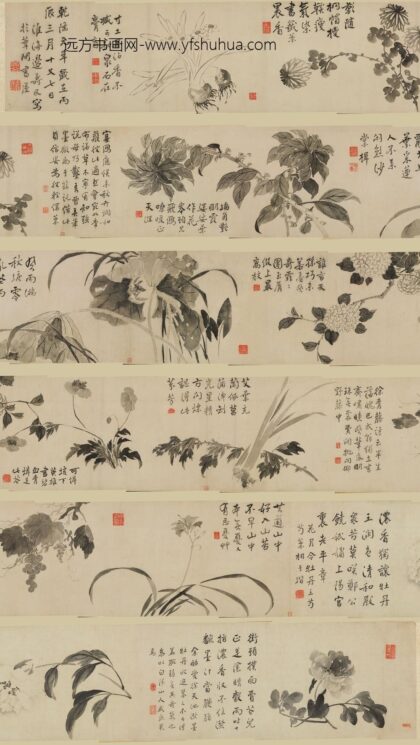 边寿民 花卉图卷.jpg