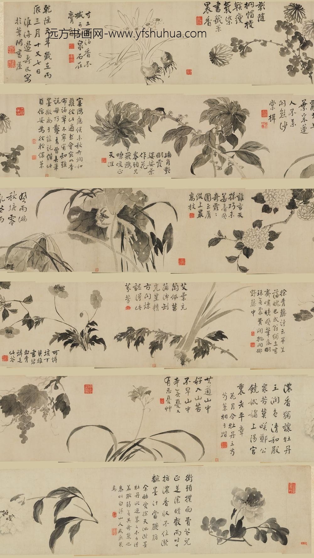 边寿民_花卉图卷