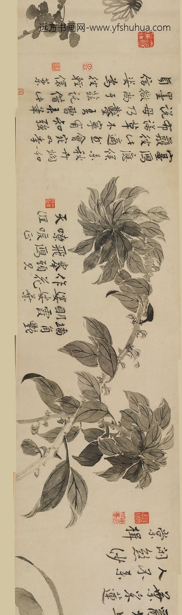 边寿民_花卉图卷_