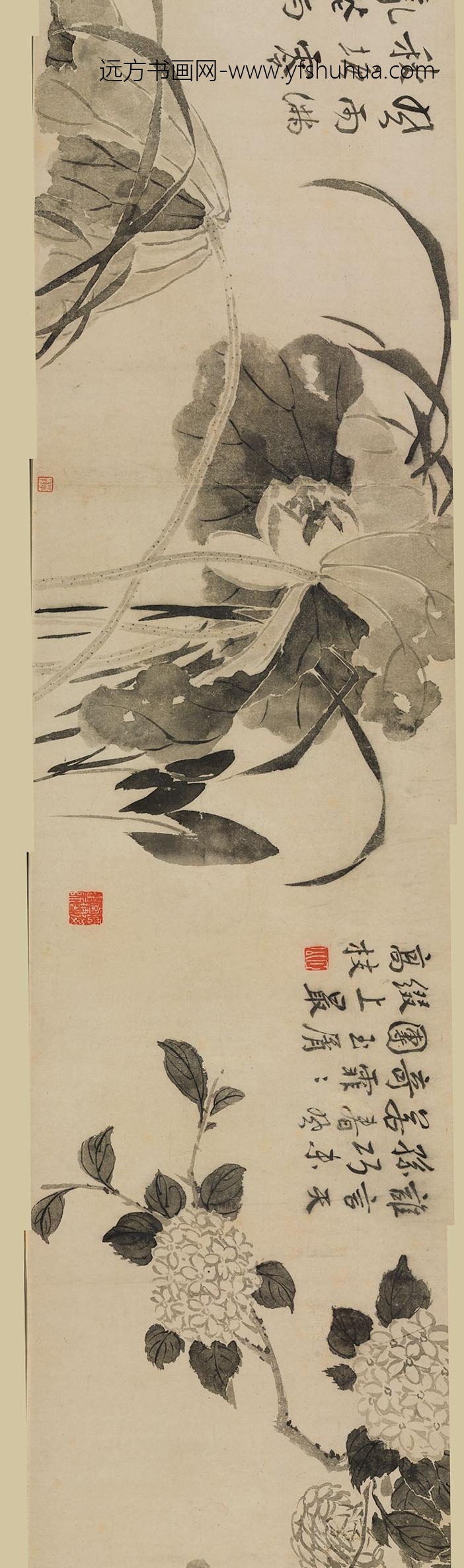 边寿民_花卉图卷_