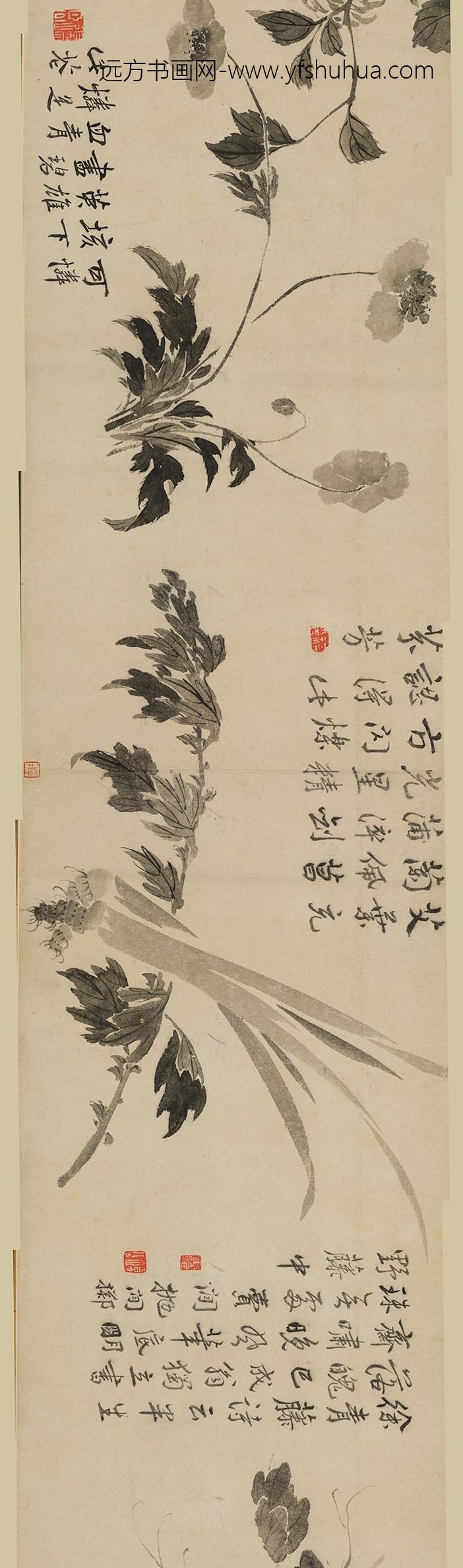 边寿民_花卉图卷_