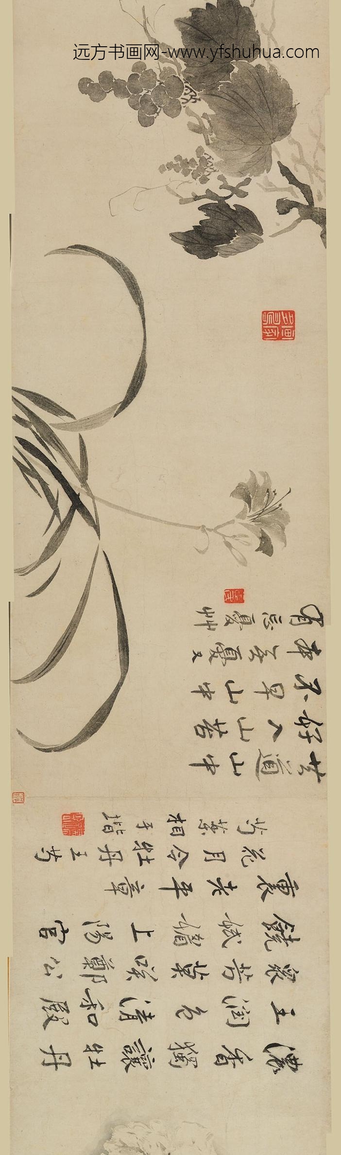 边寿民_花卉图卷_