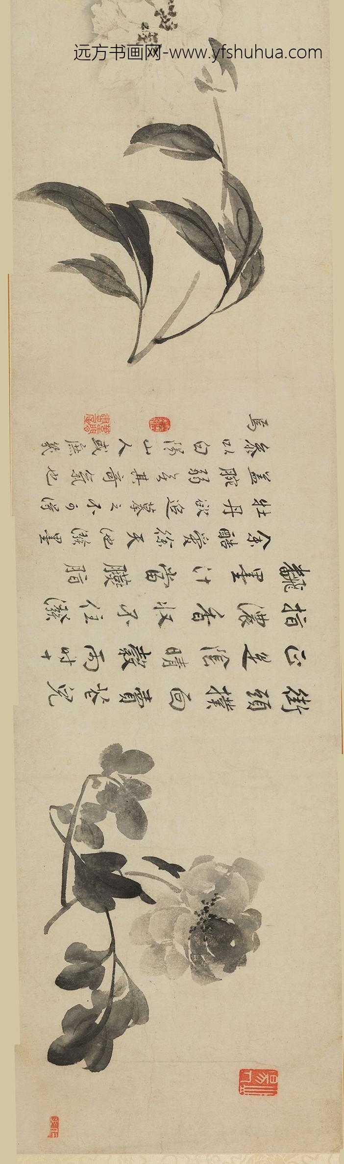 边寿民_花卉图卷_