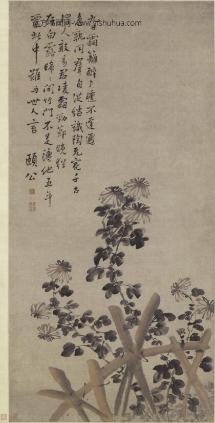 边寿民 菊花图轴.jpg