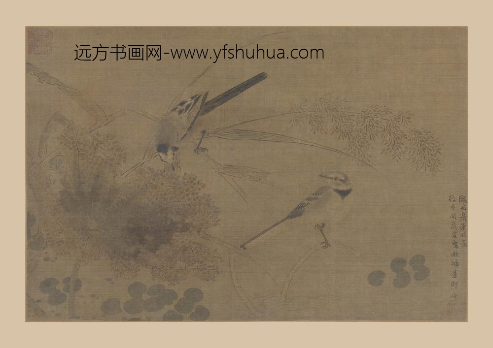 边景昭（文进）_秋塘鹡鸰图页