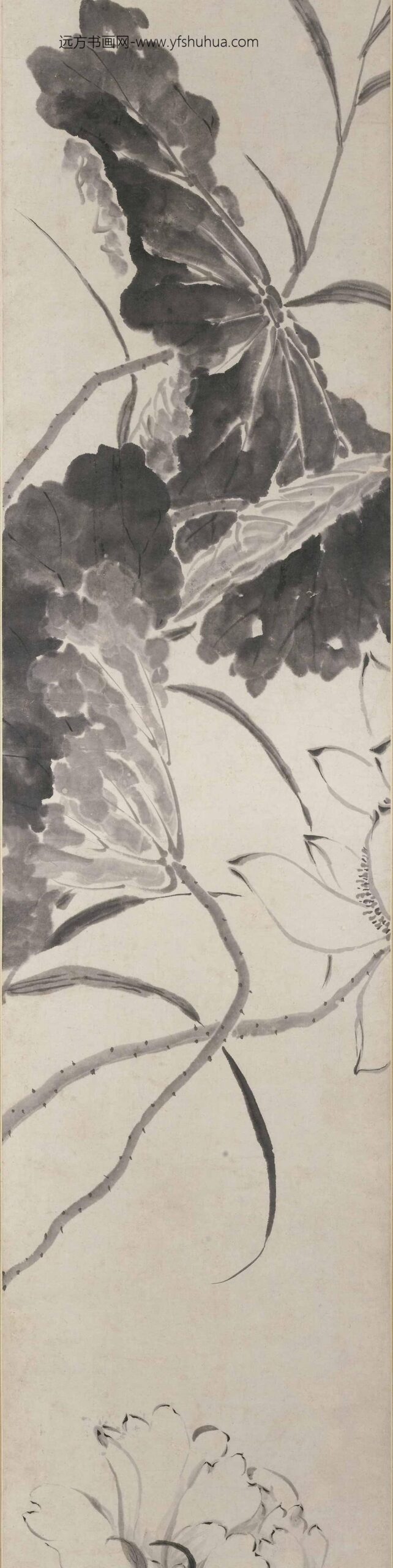 金农_十香图卷_