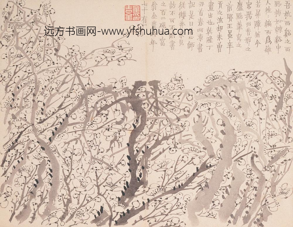 金农_墨梅图册_