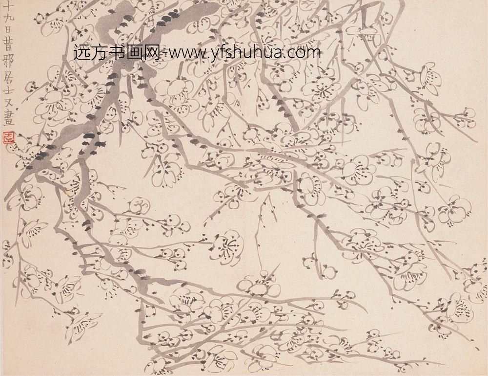 金农_墨梅图册_