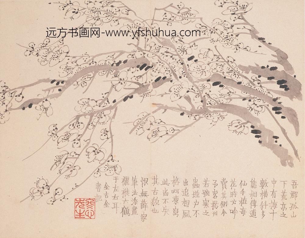 金农_墨梅图册_