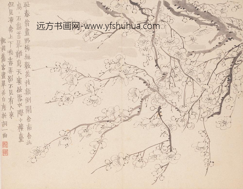 金农_墨梅图册_