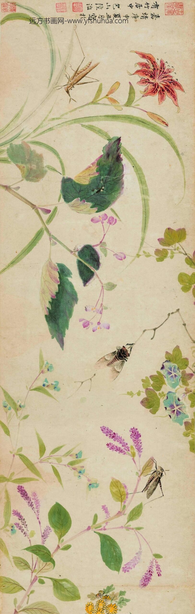 陆治_花蝶草虫卷_