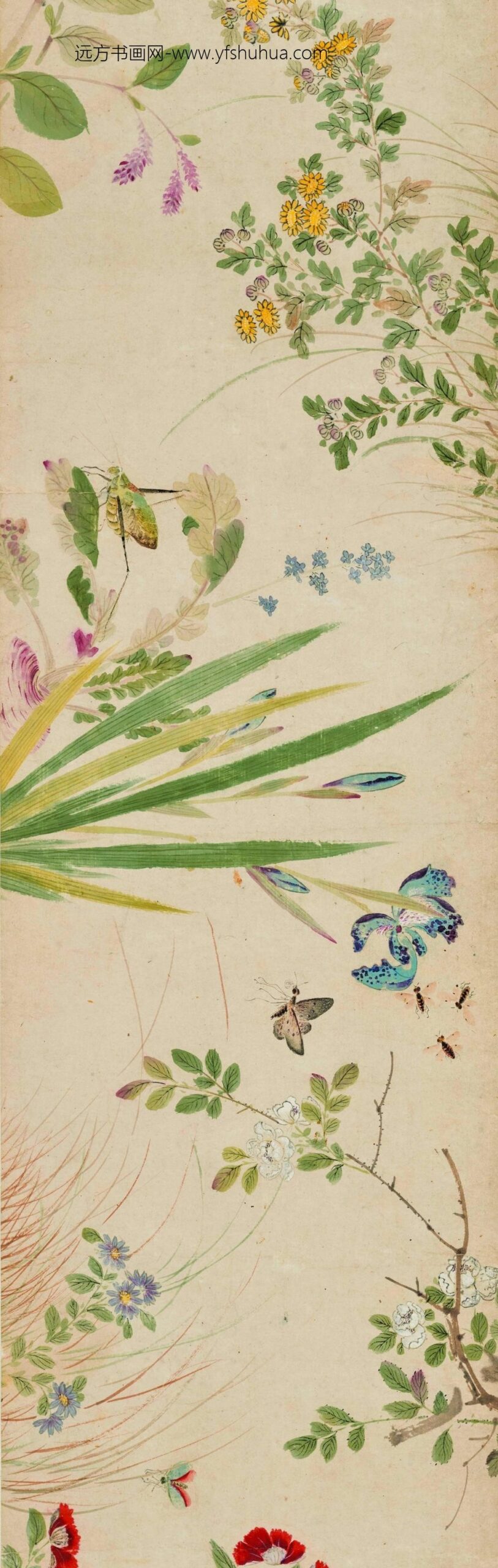 陆治_花蝶草虫卷_