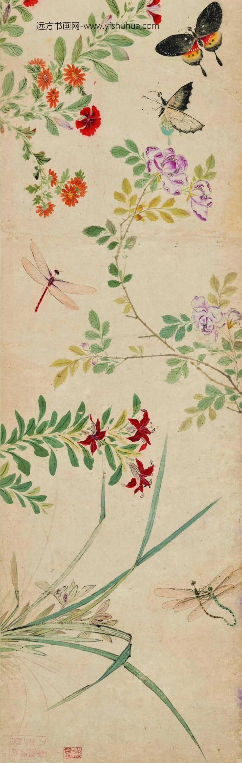 陆治_花蝶草虫卷_