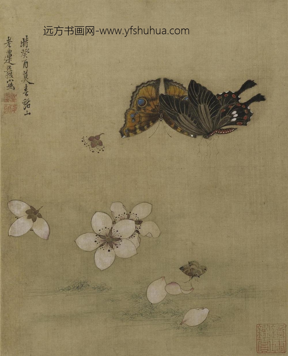 陈洪绶_花鸟草虫册_