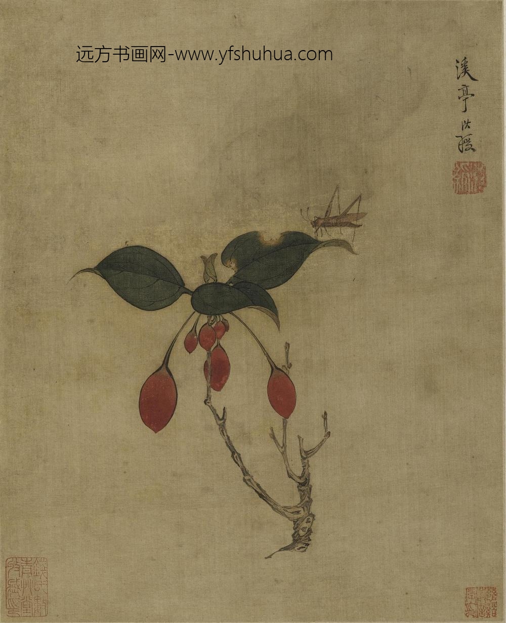 陈洪绶_花鸟草虫册_