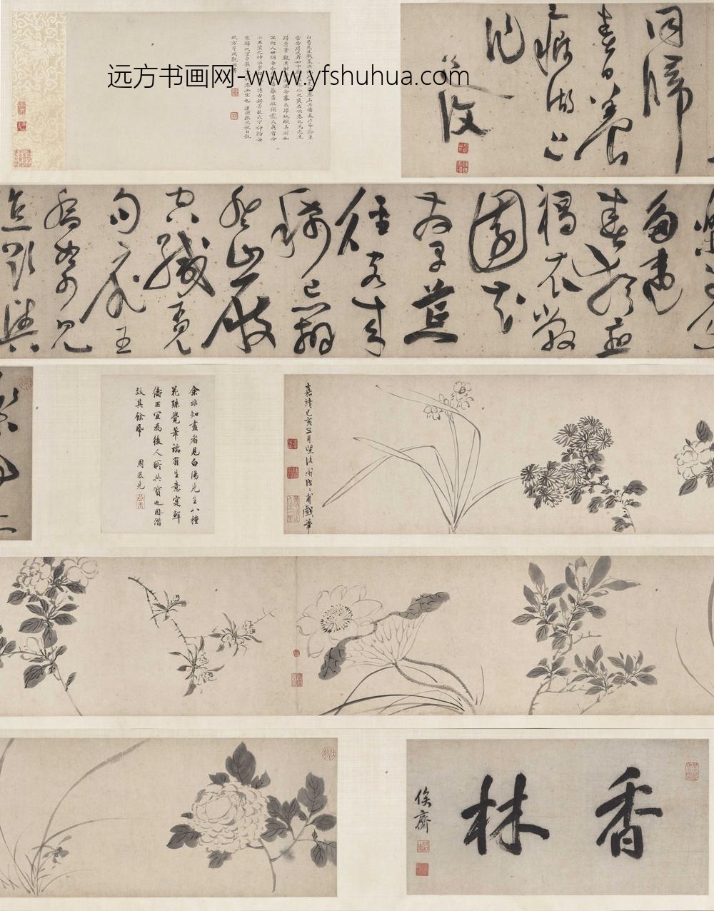 陈淳（道复）_书画合卷