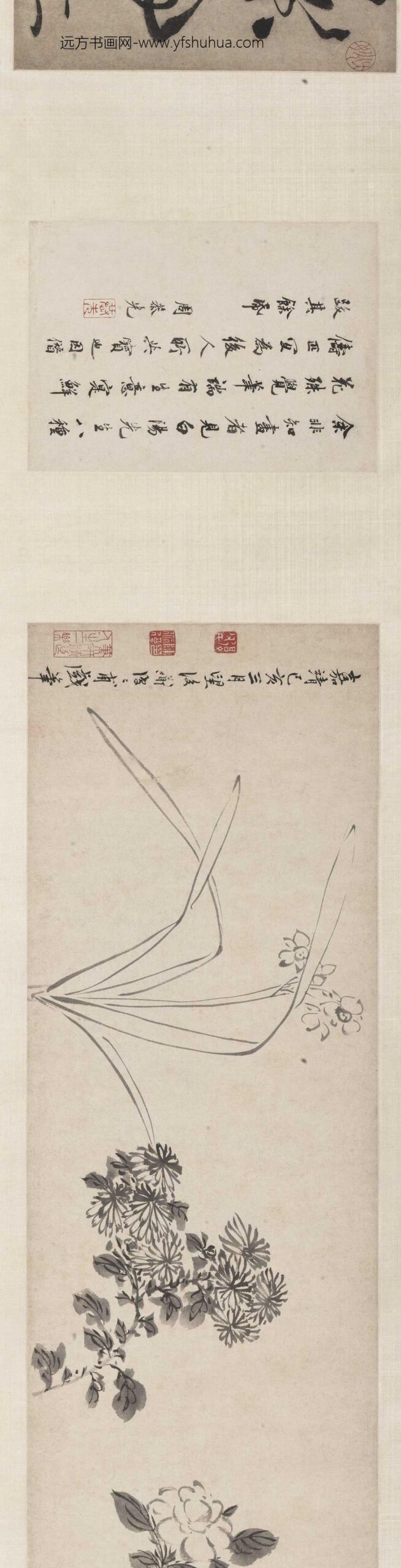 陈淳（道复）_书画合卷_